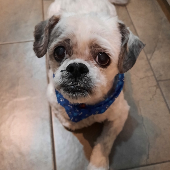 ❤ - Picture 3 of 4